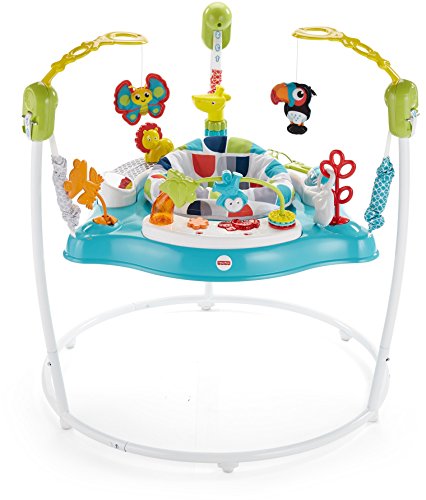 Fisher-Price Color Climbers Jumperoo Amazon Exclusive, Multi, 1 Count (Pack of 1)