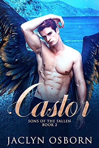 Castor (Sons of the Fallen Book 2)