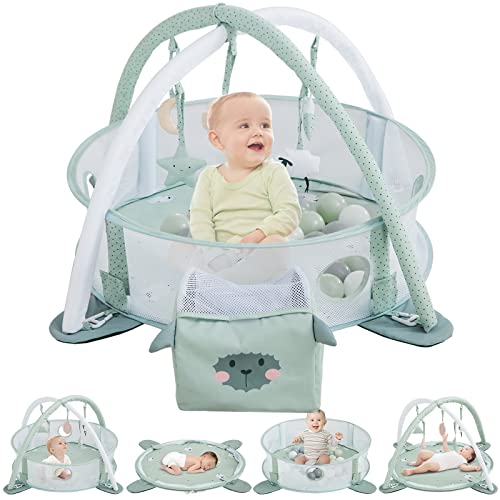 5-in-1 Baby Gym & Play Mat, Play Gym & Ball Pit with Sensory Toys for Newborn Infant Toddler to Develop Motor&Cognition, Balls Included