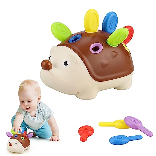 Toddlers Montessori Toys Educational Hedgehog Toys for 1 Year Old,Baby Preschooler Fine Motor Skills Learning Toys，Gifts for 18 Month Age 2 3 4 One Two Year Old Toddlers Boys Girls