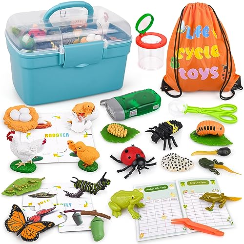 Life Cycle Learning & Education Toys, 25 Pieces Animal Toy Figurines for Frog, Butterfly, Chicken, Ladybug – Educational & Fun Matching Game Montessori Toys Preschool Learning Toy Outdoor Explorer Kit