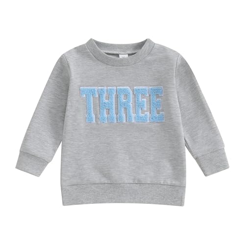 Lamuusaa Toddler Baby Girl Boy Birthday Outfit One/Two/Three/Four/Five/Six Embroidery Sweatshirt Shirts Birthday Gift (Gray Three, 3-4 Years)