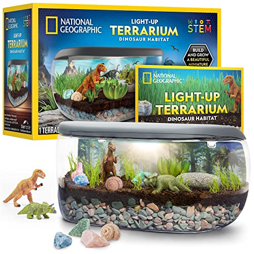 NATIONAL GEOGRAPHIC Light Up Terrarium Kit for Kids – Build a Dinosaur Habitat with Real Plants & Fossils, Science Kit, Dinosaur Toys for Kids (Amazon Exclusive)