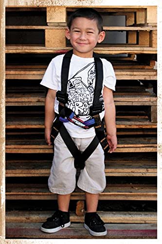 Kids Full Body Harness – Fusion Climb® – (5,000 LBS Rated) Professional Harness for Hiking, Tree Climbing, Ziplining, Indoor Climbing, Rappelling- Heavy Duty Kids Full Body Harness Climbing Gear